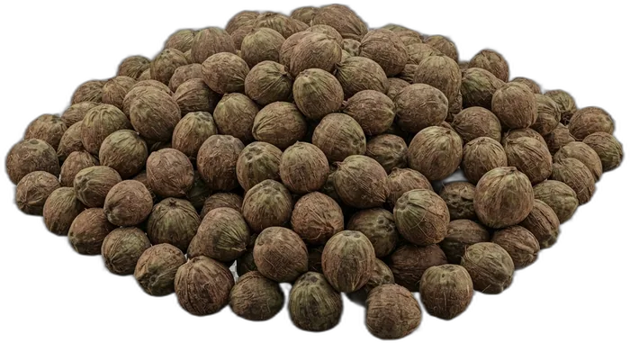 A large harvest pile of coconuts